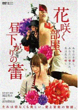 院线电影索引分类封面